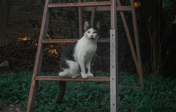 How are UK hospitals managing the rise of chronic diseases?